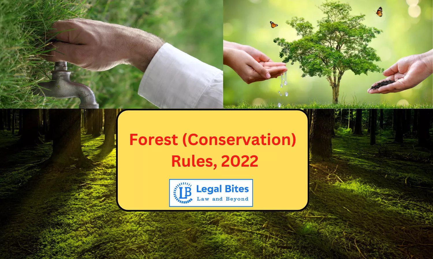 Forest (Conservation) Rules, 2022