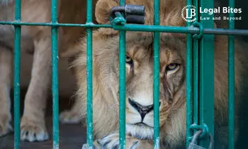 Wildlife Trafficking in India