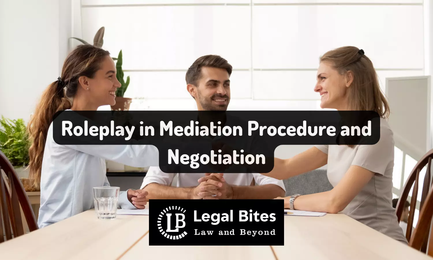 Roleplay in Mediation Procedure and Negotiation