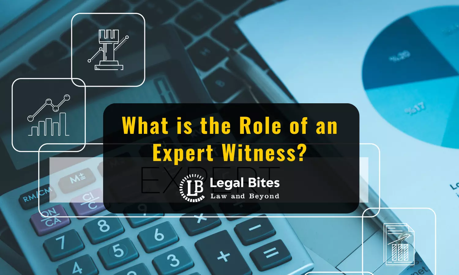What is the Role of an Expert Witness?