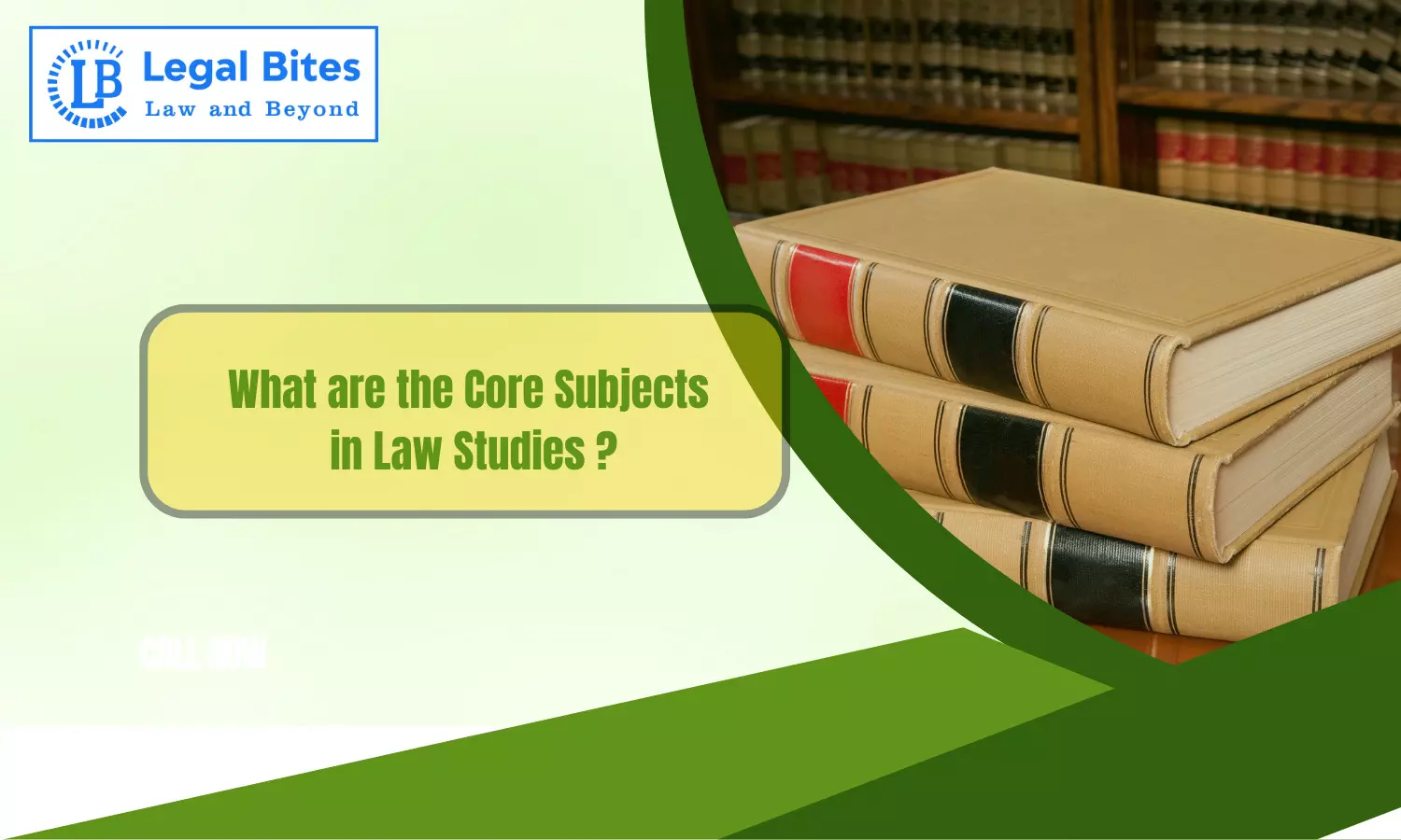 What are the core subjects in law studies?