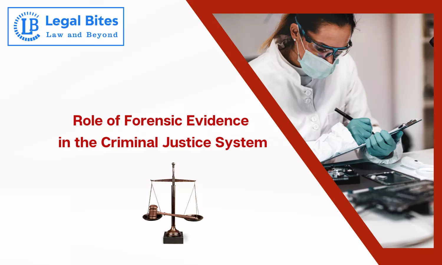 Role of Forensic Evidence in the Criminal Justice System