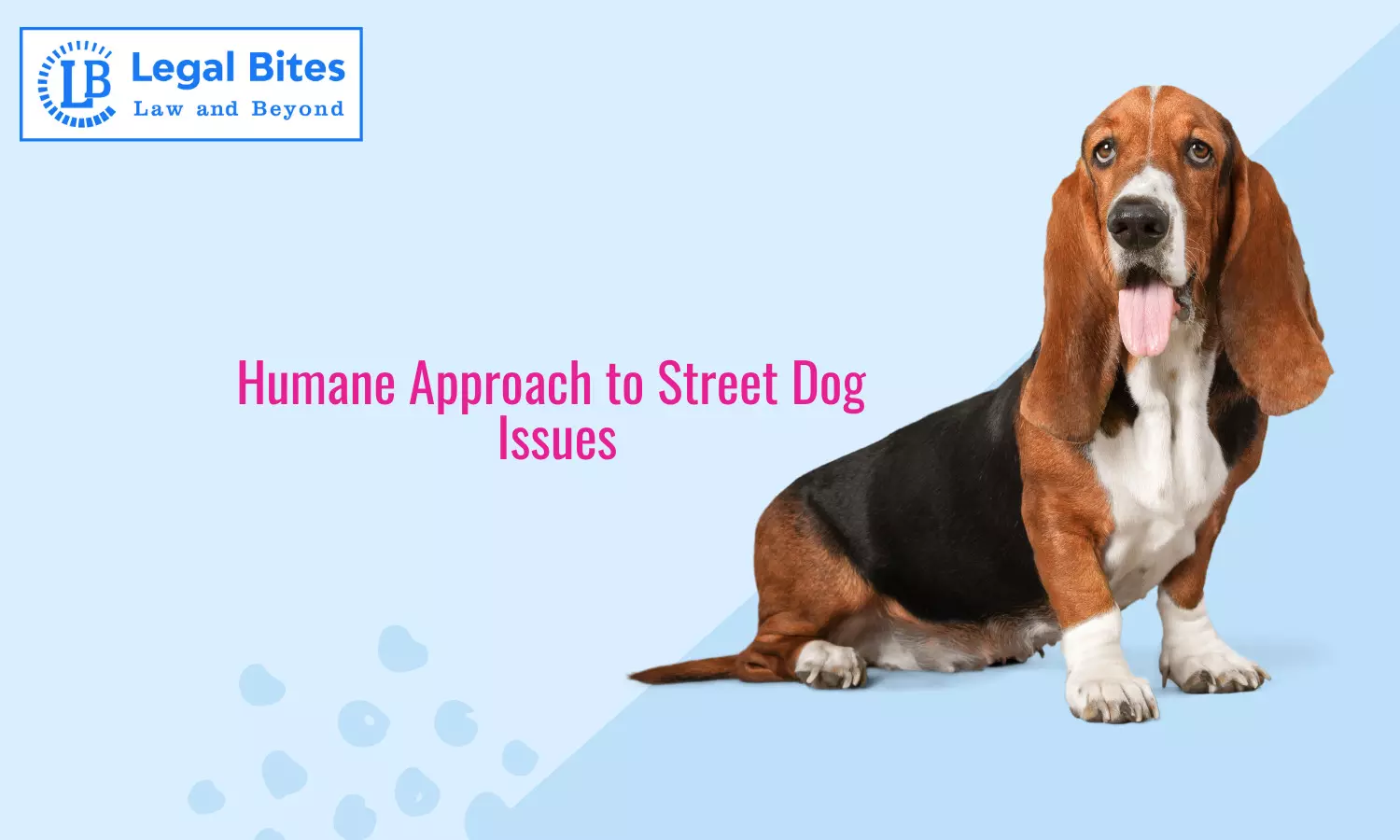 Humane Approach to Street Dog Issues