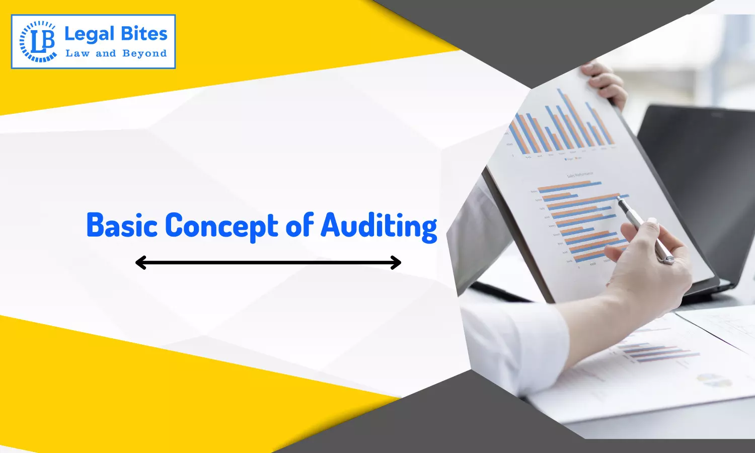 Basic Concept of Auditing