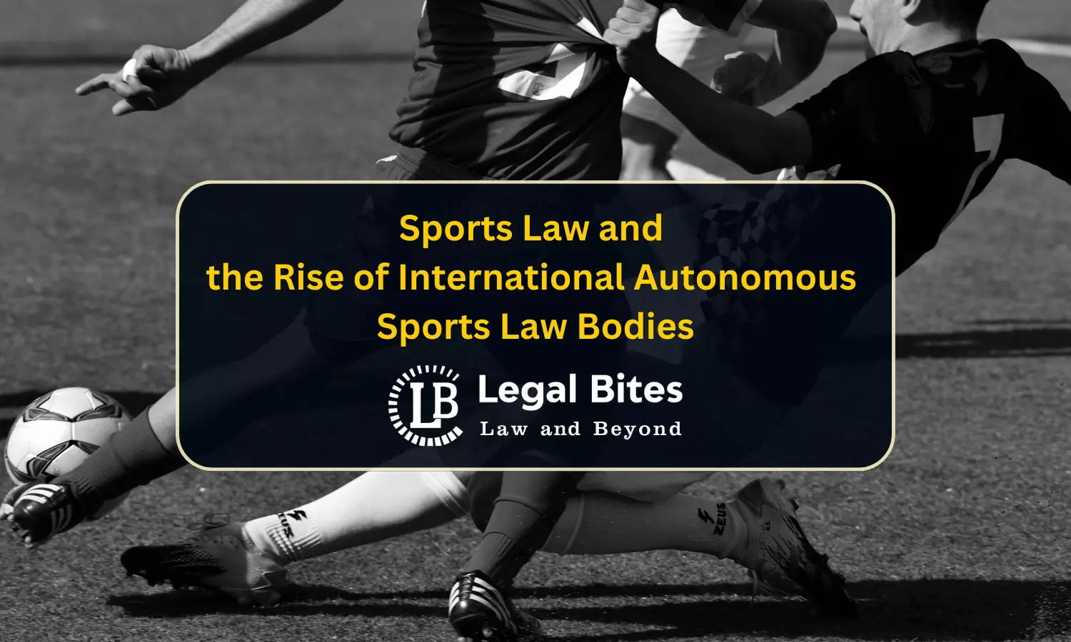 Sports Law and the Rise of International Autonomous Sports Law Bodies