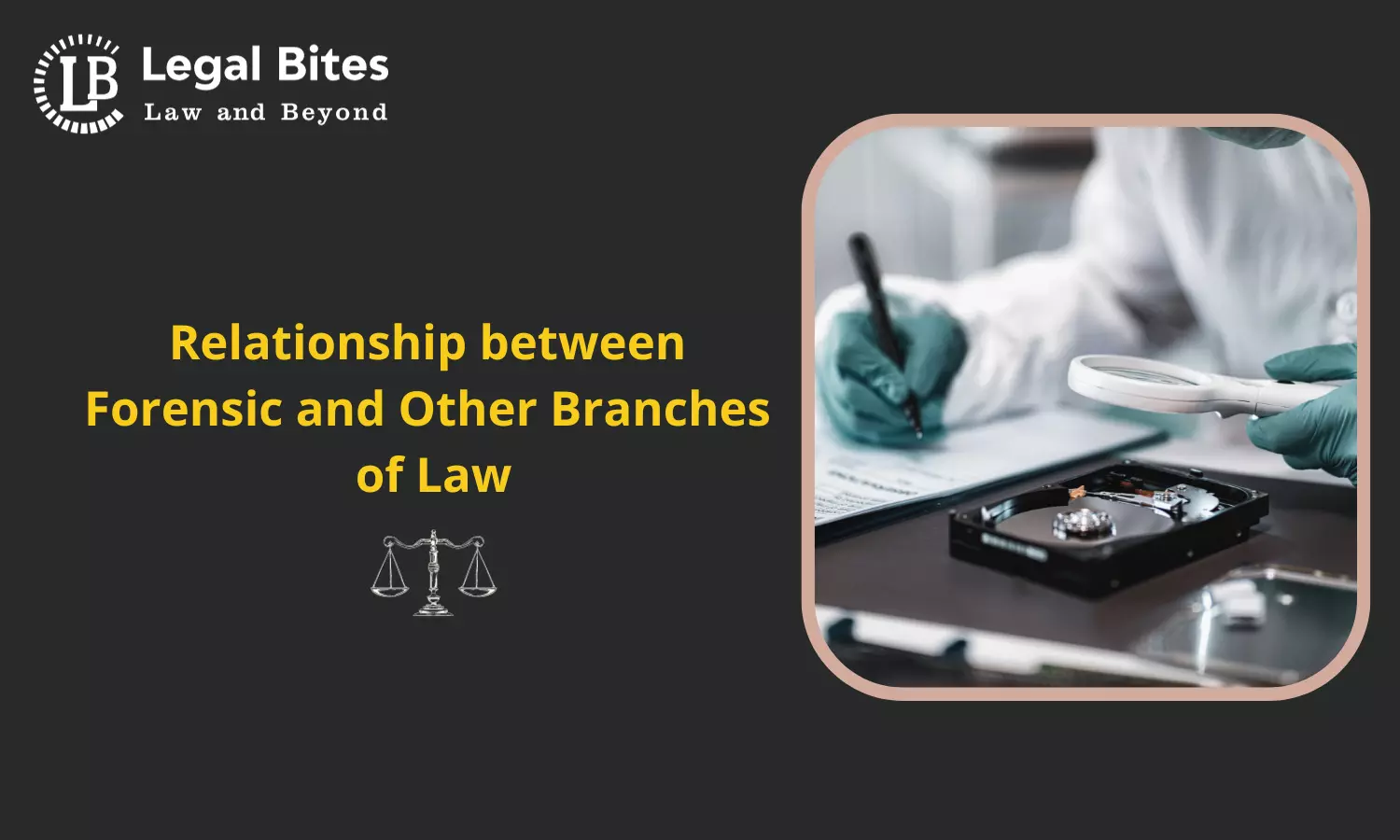 Relationship between Forensic and Other Branches of Law