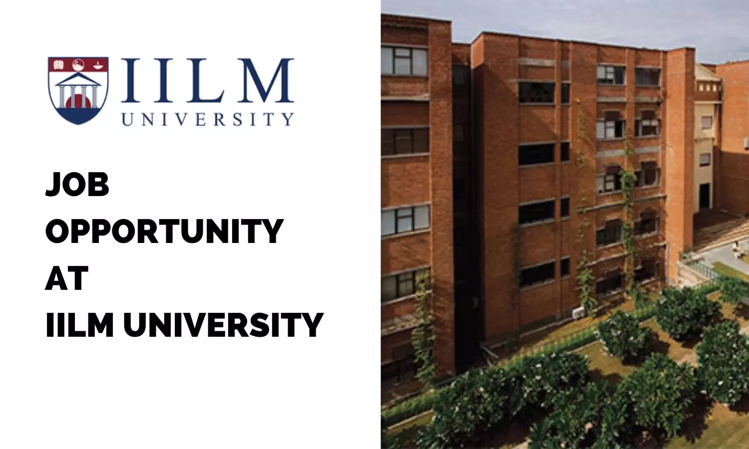 Job Opportunity: Professor at IILM University Gurugram