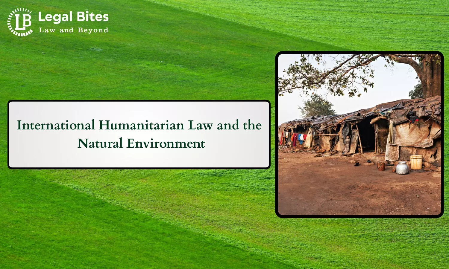 International Humanitarian Law and the Natural Environment