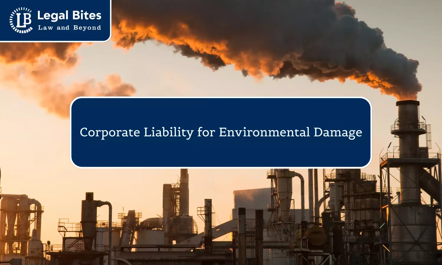 Corporate Liability for Environmental Damage