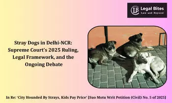 Stray Dogs in Delhi-NCR: Supreme Court’s 2025 Ruling, Legal Framework, and the Ongoing Debate