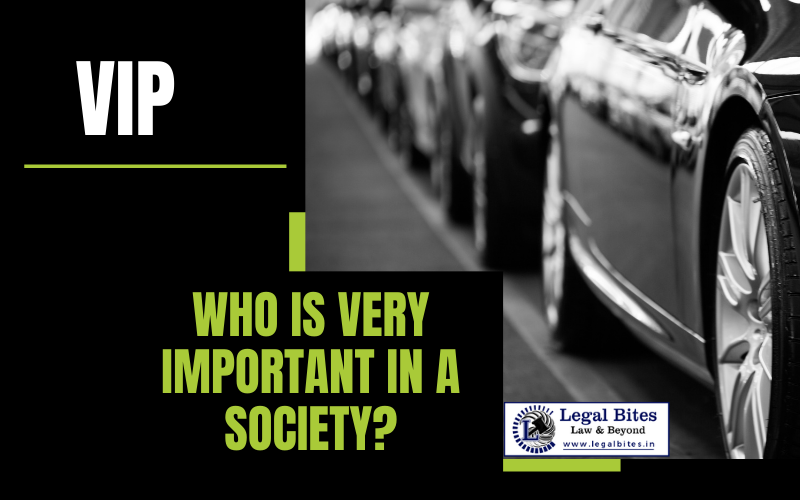 Who is Very Important in a Society? - VIP Saga