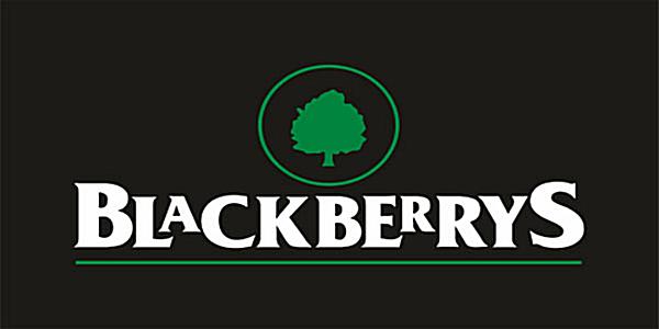blackberrys concentrate