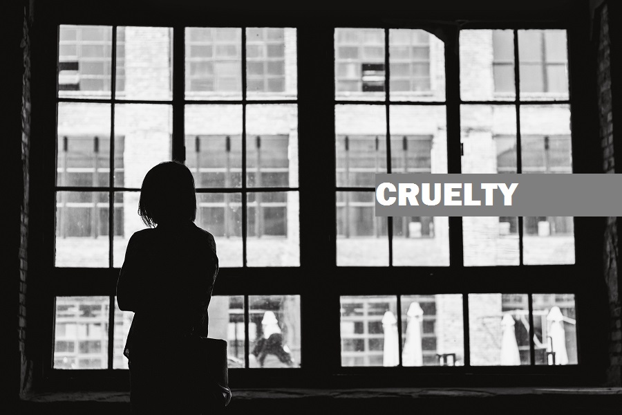 Cruelty by Husband or Relatives of Husband | Section 498A