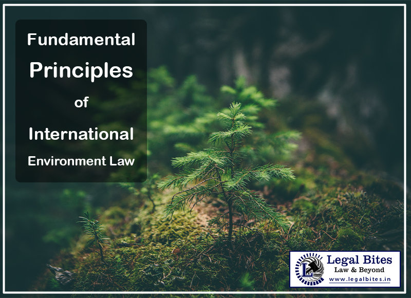 Fundamental Principles of International Environment Law