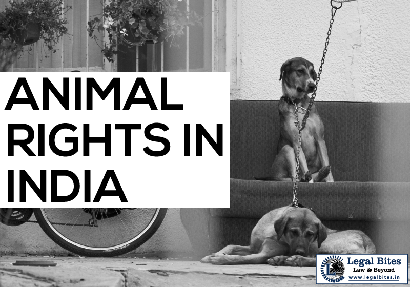 Animal Rights in India: An Overview