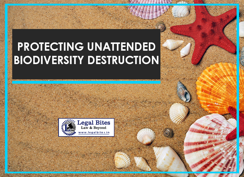 Protection of Marine Life : Protecting Unattended Biodiversity Destruction And Legal Aspects