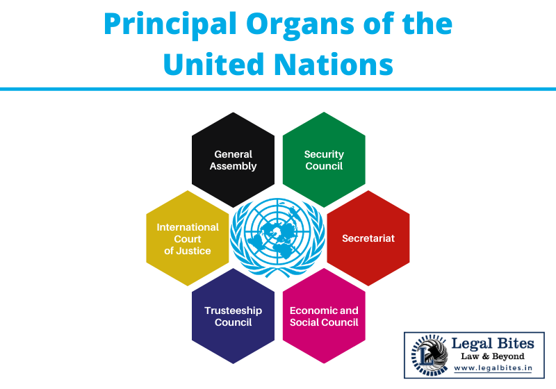 assignment on united nations organisation