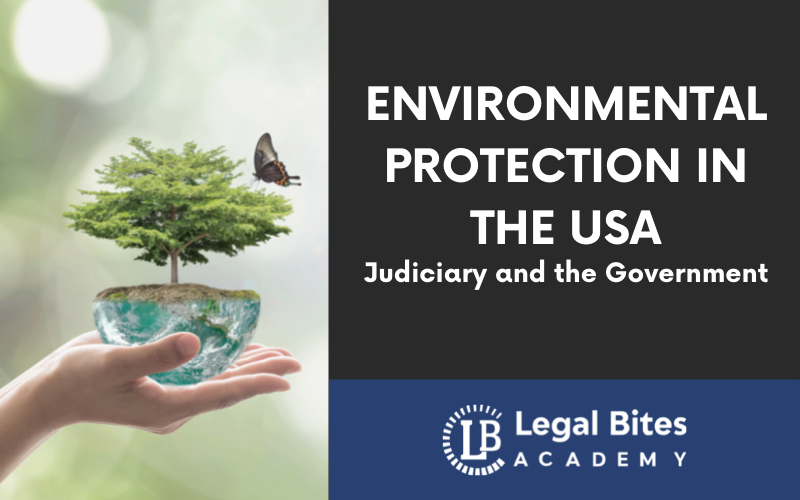 Environmental protection in the USA Judiciary and the Government