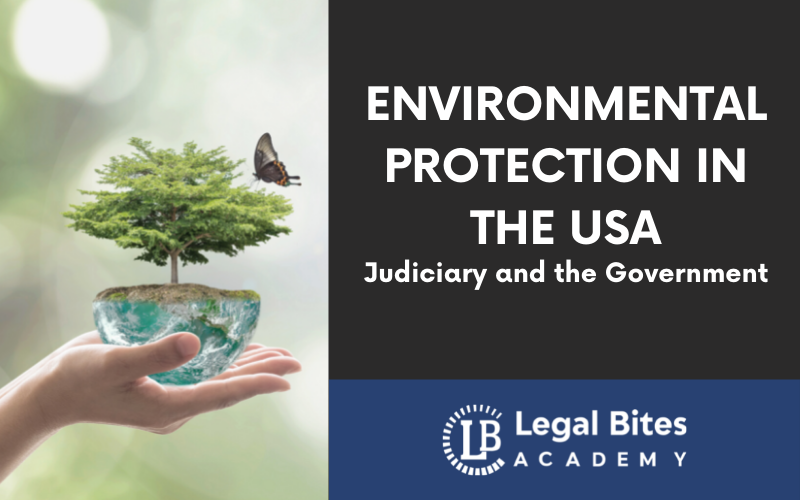 Environmental Protection in the USA: Judiciary and the Government