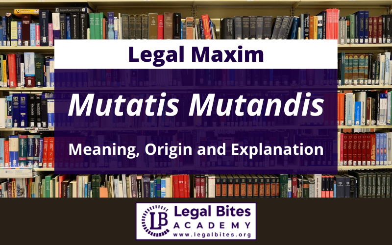 Mutatis Mutandis: Origin, Meaning and Explanation